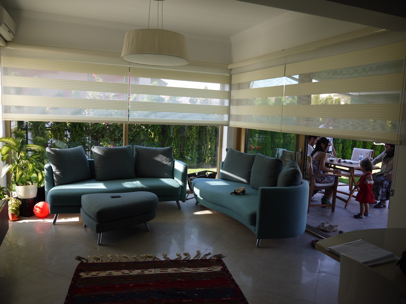 Kış bahçesi zebra