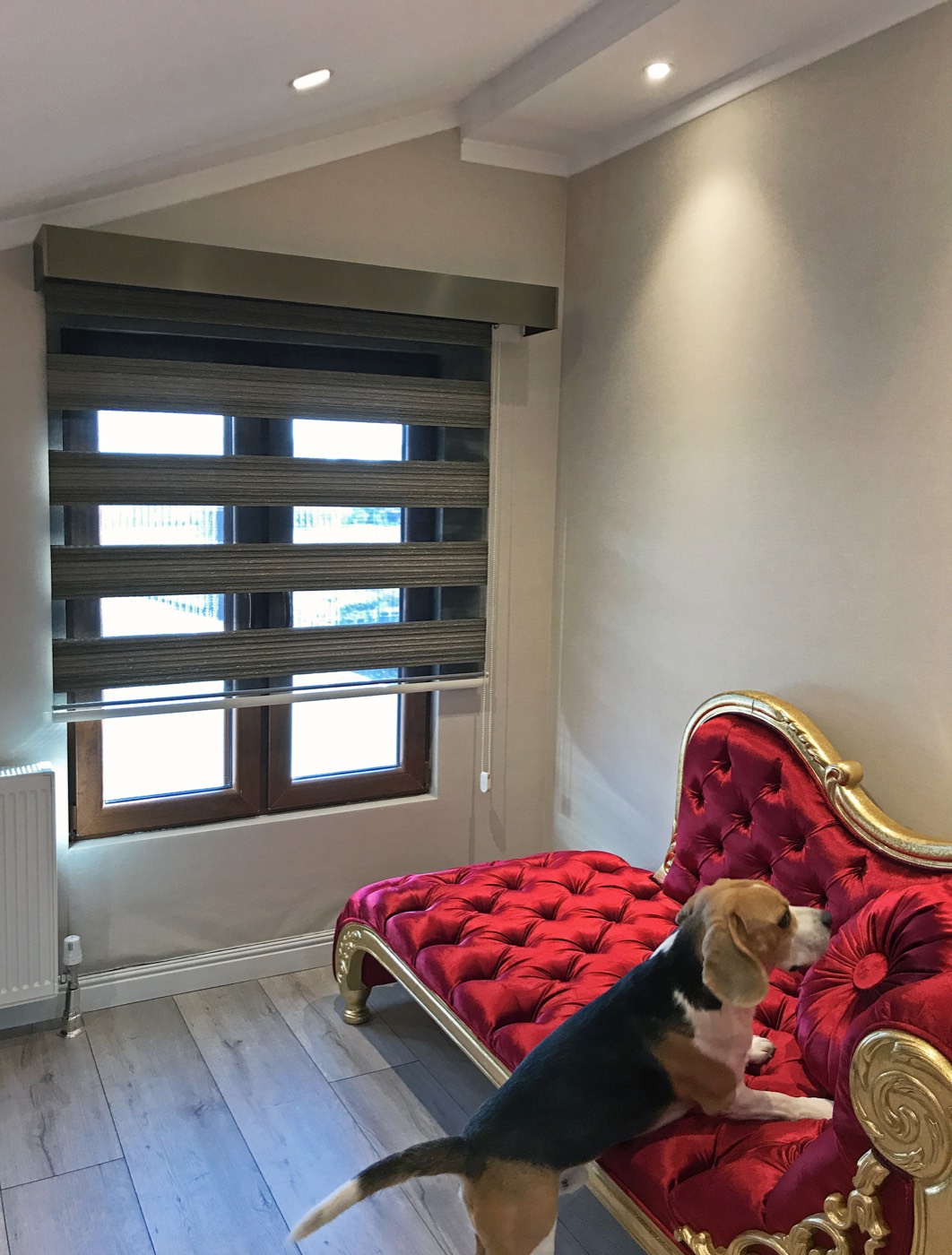 Altın gümüş siyah zebra perde